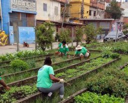 Manguinhos tem a maior horta comunitário da América Latina