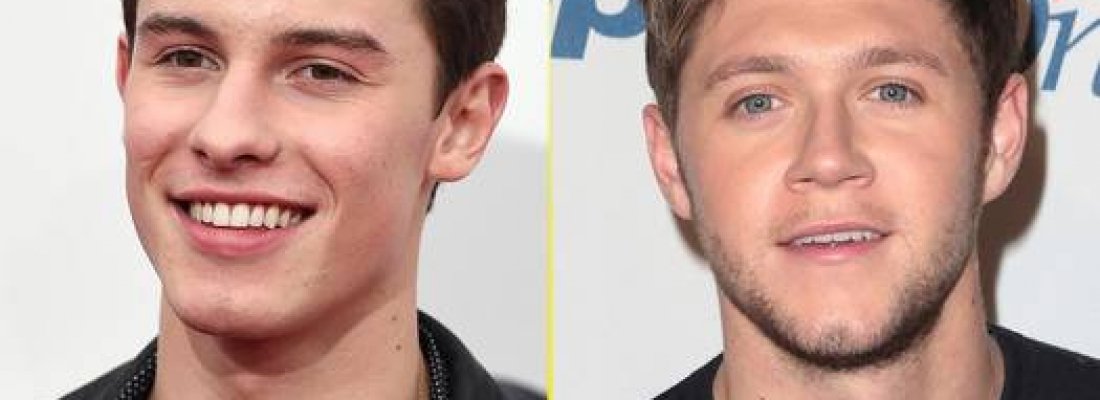 Shawn Mendes e Niall Horan confirmam a possibilidade de uma parceria