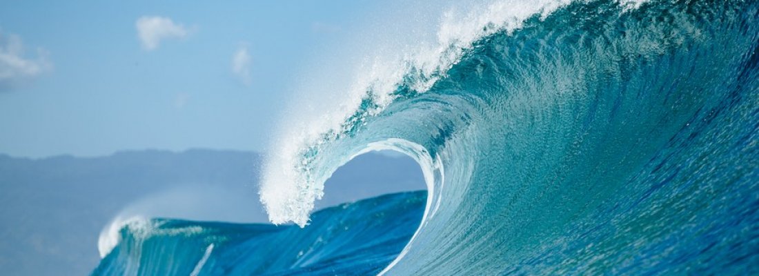 De volta ao mar!