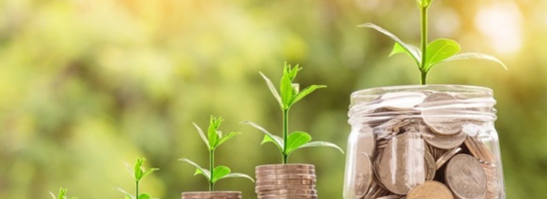 Búzios alcança 8º lugar dentre os municípios do estado do Rio de Janeiro no ICMS Ecológico