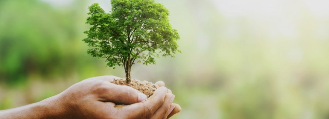 5 de Junho, Dia Mundial do Meio Ambiente