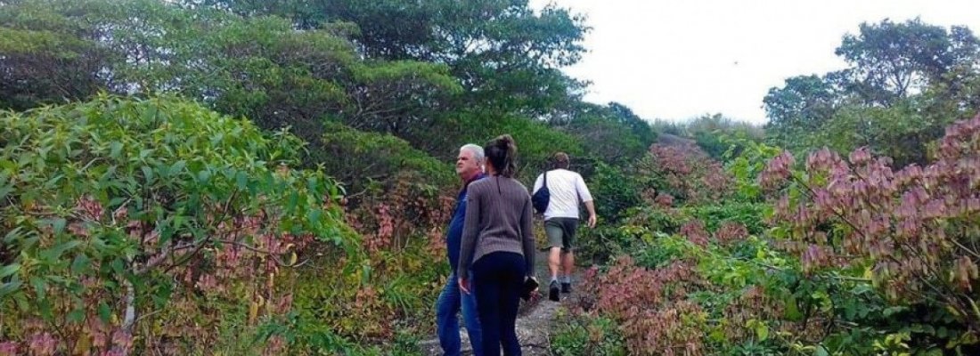 Morro da Peça é a atração deste sábado do Circuito Ecológico